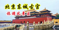 操鸡巴啊啊操下载中国北京-东城古宫旅游风景区